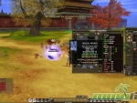 Hero-Online-inventory