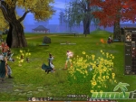 Hero-Online-woods