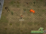 immune-cow