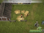 immune-hay