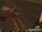 infestation-the-new-z-loot
