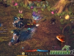 Inspirit-Online-Combat-29