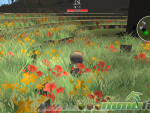 islet-online-grass-flowers