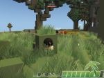 islet-online-hiding