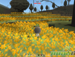 islet-online-sunflowers