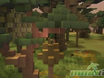 islet-online-tree-top