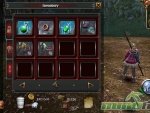 Izanagi-online-Inventory