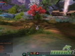 jade-dynasty-forest
