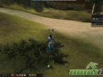 Karos-Returns-Amo-Bushes