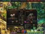 Kingdom-Rift-Pet-Evolve