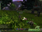 Knight-Online-Animals