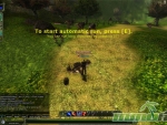 Knight-Online-Battle