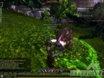 Knight-Online-Boss