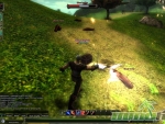 Knight-Online-Combat