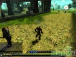 Knight-Online-Fields