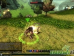 Knight-Online-Fighting