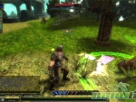 Knight-Online-Graphics