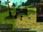 Knight-Online-Strength