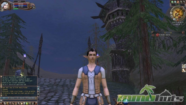 Last-Chaos-Elf