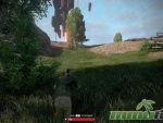 last-man-standing-trees
