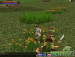 legend-of-ares-chat