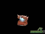 light-of-aiaran-chest