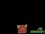 light-of-aiaran-loading