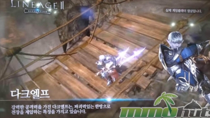 lineage-2-revolution-assassin