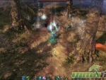 lineage-eternal-forest