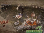 lineage-m-fighting-mobs