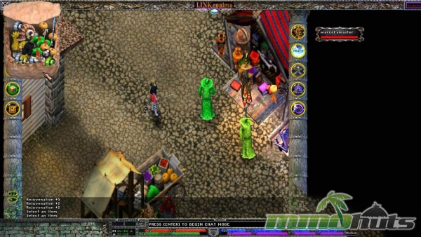 link-realms-cluttered-bag