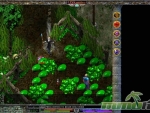 link-realms-casting-spells