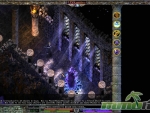 link-realms-fantasy-mmorpg