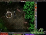 link-realms-raw-meat