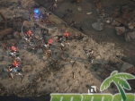livelock-effects