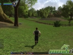 lord-of-the-rings-online-field