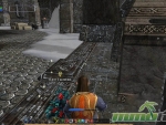lord-of-the-rings-online-gathering