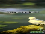 mabinogi-duel-story1