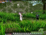 Mabinogi-9AM-Fighting
