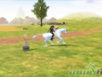 Mabinogi-Double-Mount