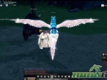 mabinogi-cisin-pet