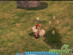 mabinogi-sheep
