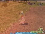 mabinogi-sheering-sheep