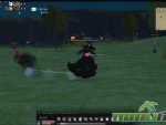 mabinogi-witch