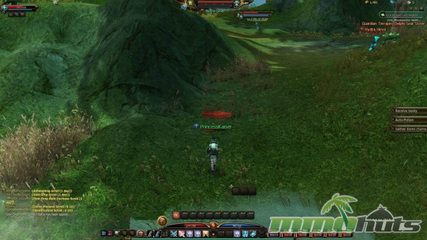 Maestia-Arrows-Guide