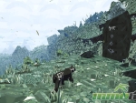 meadow-exploration