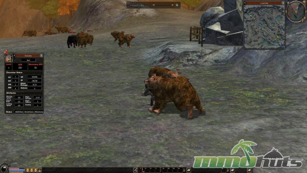 Metin-2-bear-group