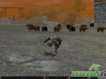 Metin-2-2004-release