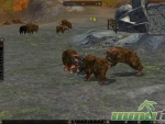 Metin-2-bear