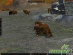 Metin-2-bear-group